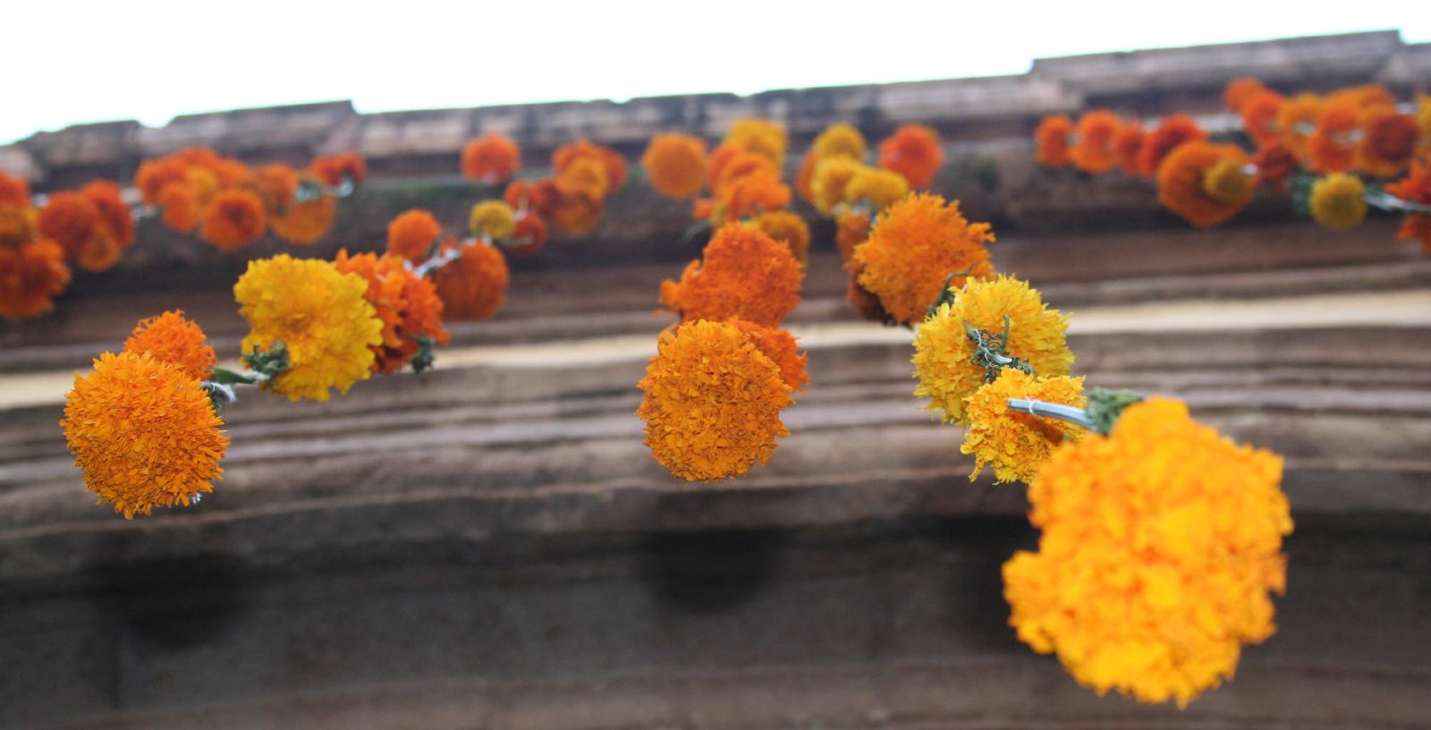 The meaning of Day of the Dead is changing